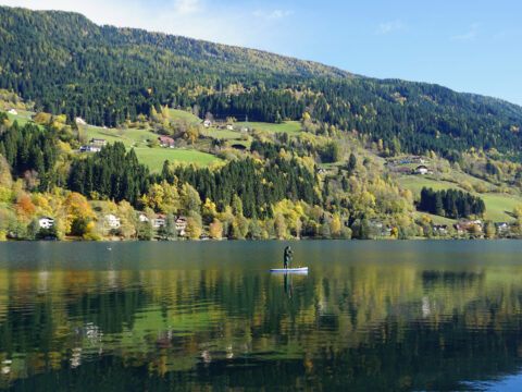 Brennsee