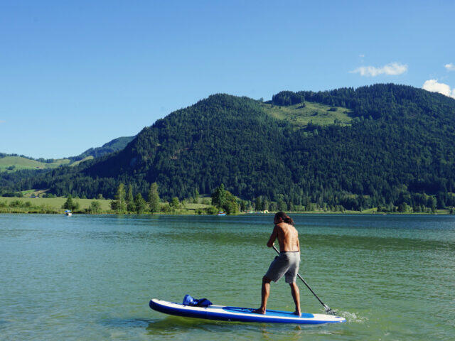Walchsee