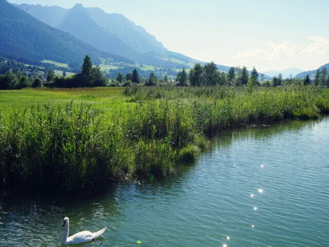 Tirol Nordosten
