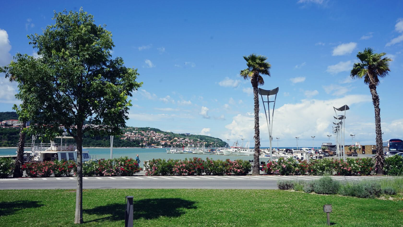 Koper